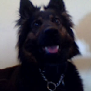 Meet your Posher, Jackson